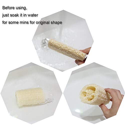 pisdoplop Natural Loofah Exfoliating Body Sponge Scrubber, 4 inch-Long Organic Loofa Luffa Plant-Based for Men & Women Skin Care Bath Shower Cleaning, Natural Sponges for Dishes