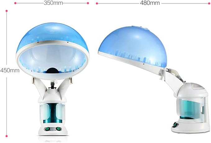 DENFANY Hair Steamer Facial Steamer 2 in 1 – Nano Ionic Steam for Deep Hydration, Adjustable Arm, Easy-Clean Wide Mouth Tank, Home & Salon Use