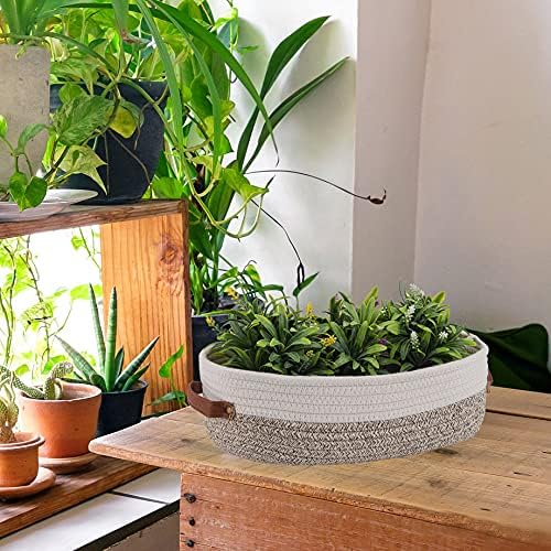 Oradrem 2 Pack Woven Storage Basket for Toilet Tank Top,Farmhouse Home Decor Organizing Basket for Bathroom,Table and Counter 13"x5.9"x4" Apricot Stitching White