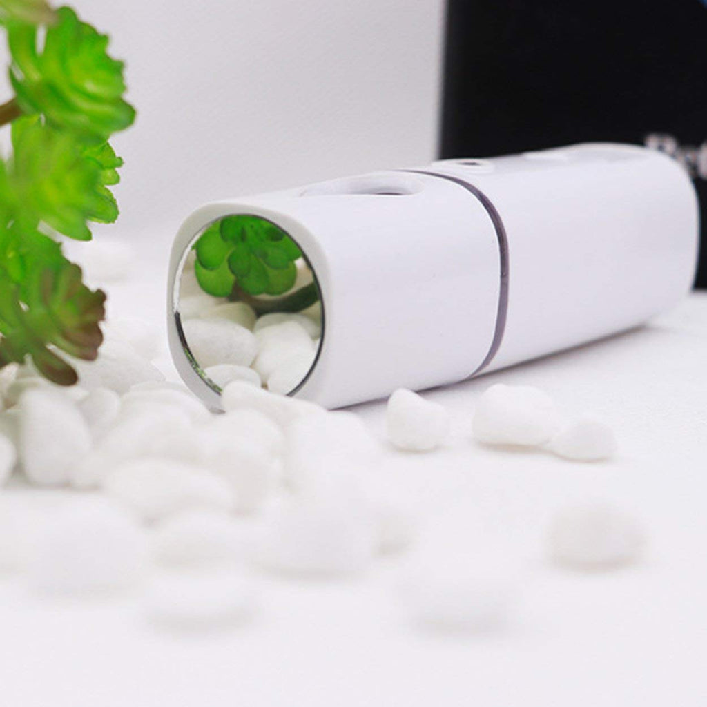 ZOMFOM Nano Face Sprayer Mini Facial Steamer Mist Spray, White
