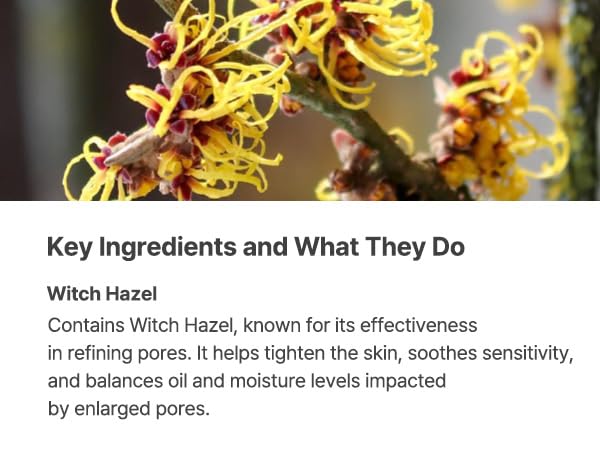 S.NATURE AQUA SQUALANE SERUM | Deeply hydrated Facial Serum for All Skin Type, Soothing, Pore Tightening and Sebum control Benefits, Korean Skin Care (2.37 Fl.Oz)