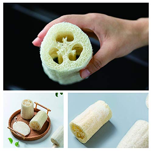 pisdoplop Natural Loofah Exfoliating Body Sponge Scrubber, 5 inch-Long Organic Loofa Luffa Plant-Based for Men & Women Skin Care Bath Shower Cleaning, Natural Sponges for Dishes