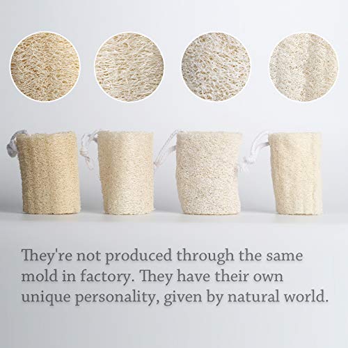 pisdoplop Natural Loofah Exfoliating Body Sponge Scrubber, 5 inch-Long Organic Loofa Luffa Plant-Based for Men & Women Skin Care Bath Shower Cleaning, Natural Sponges for Dishes