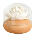 2-In-1 Q Tip Holder Toothpick Holders Multifunctional Cotton Swab Holder
