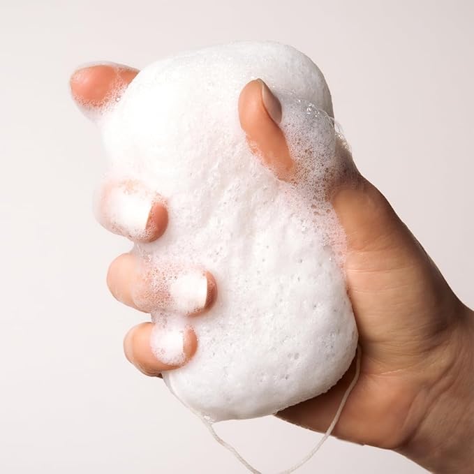 Everist Compostable Konjac Sponge | Reusable Exfoliating Shower Sponge