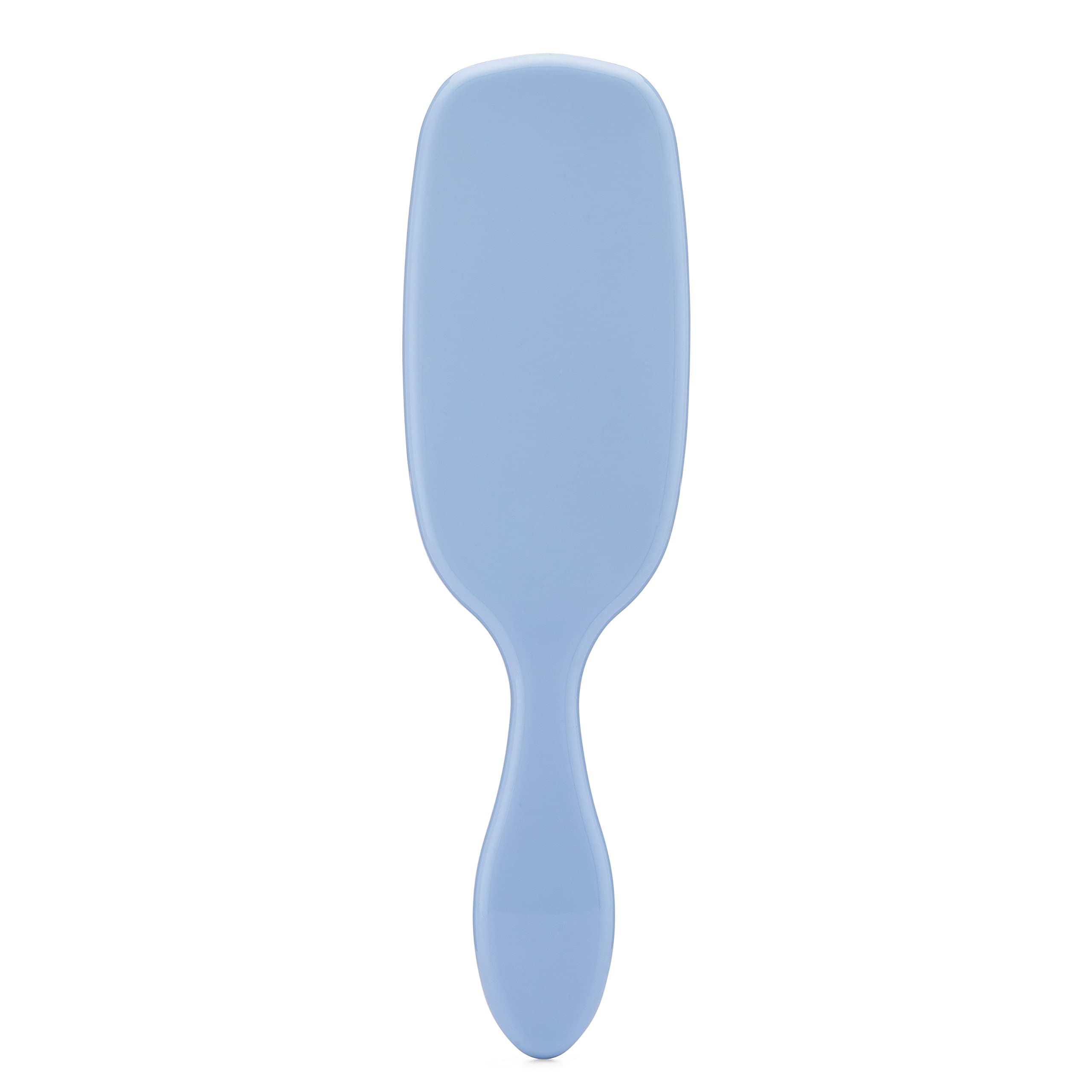 Wet Brush Shine Enhancer Hair Brush, Sky - Exclusive Ultra-soft IntelliFlex Bristles - Natural Boar Bristles for All Hair Types - For Women and Men, Wet and Dry Hair