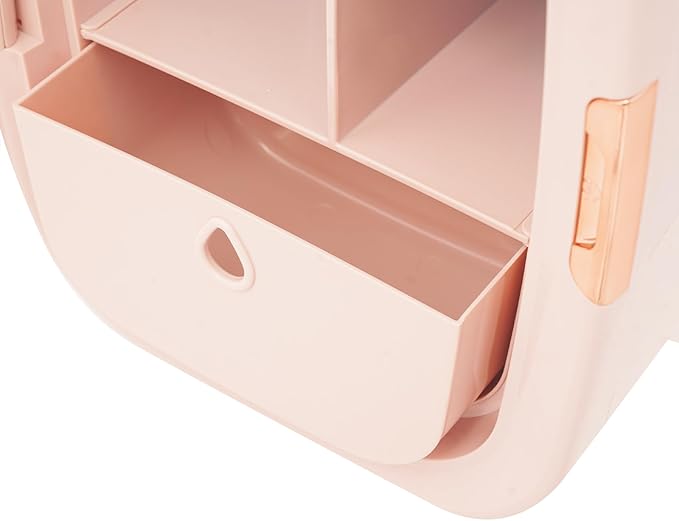 REHOUPTU Cosmetic Fridge with LED Mirror & Adjustable Shelves, 12V/110V Mini Skincare Refrigerator for Bedroom, Vanity, Office, 4 Gal, Gift for Women (Pink)