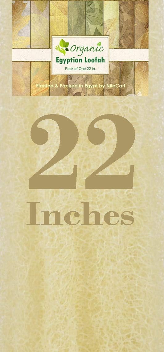 NileCart Egyptian Natural Loofah Sponge, 22 Inchs