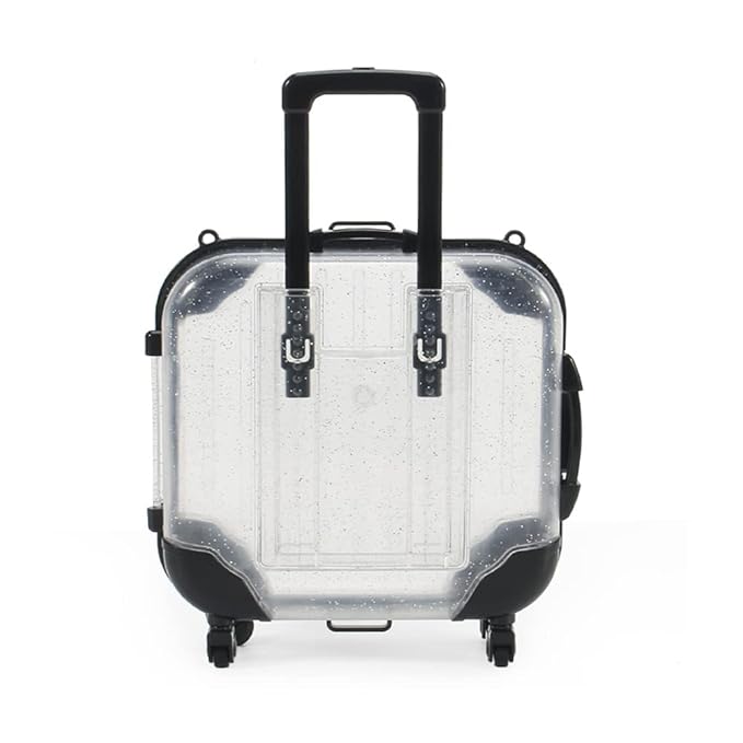 HBZGTLAD 10pcs false eyelashes packaging box pink luggage lashes suitcase mink lashes packing fluffy and curly case empty (C-white)