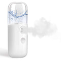 GIVERARE Nano Facial Steamer, Handy Mini Mister, USB Rechargeable Mist Sprayer, 30ml Visual Water Tank Moisturizing&Hydrating for Face, Daily Makeup, Skin Care, Eyelash Extensions-Pink