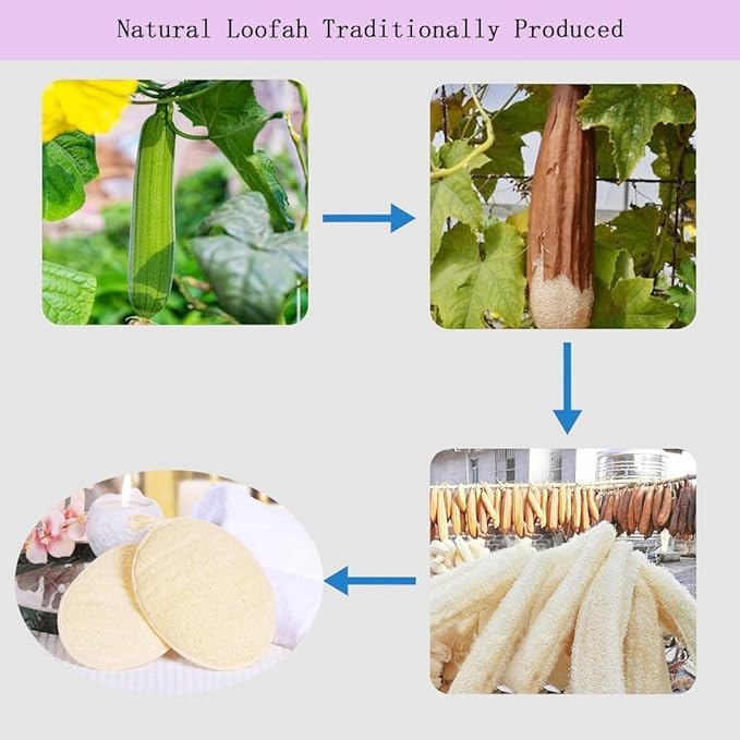 haikuluo Natural Loofah Body Scrubber Sponge,3 Pack