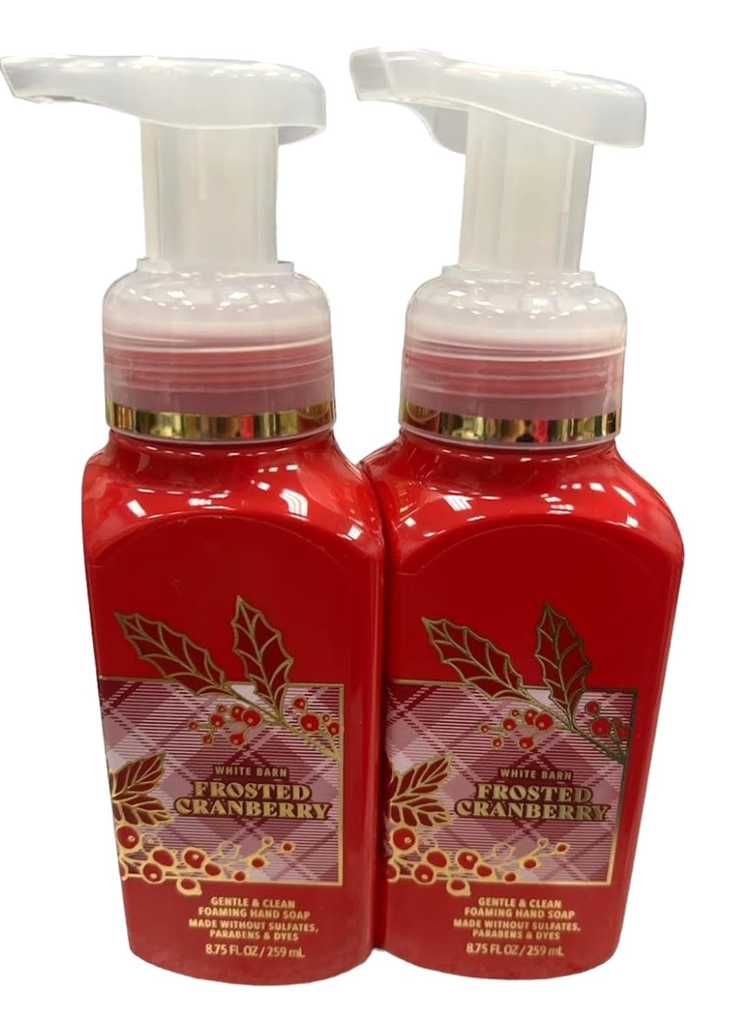 Bath & Body Works Bath and Body Works Dream Bright Gentle Foaming Hand SoaP 2-Pack (Dream Bright), 17.5 ounces, 17.5 Fl Oz