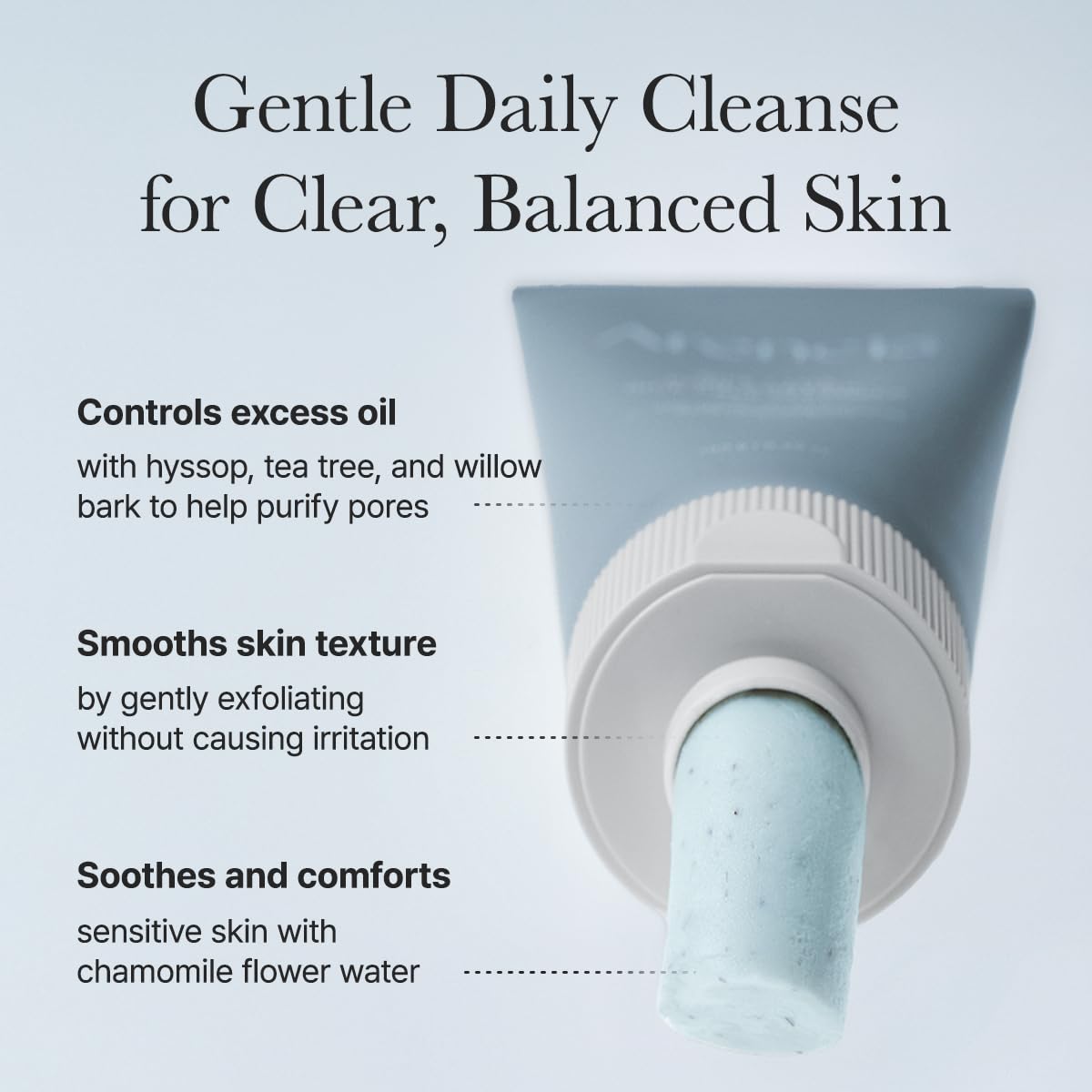 ARENCIA Hyssop Sebum Control Rice Cake Cleanser, AHA Tea Tree Face Wash for Oily Combination Skin 150ml / 5.07 fl oz