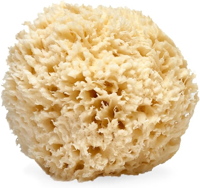 LATHER - Natural Sea Wool Sponge, 4-5" - Organic Exfoliating Body Scrubber - Soft, Gentle Cleansing - Hypoallergenic - All Skin Types - Florida Natural Loofah Sponge - Cruelty Free - Beauty & Skincare
