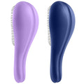 Aussumy Detangling Hair Brush Set - 2 Pack Detangler Hairbrush with Ultra Soft Bristle for Effortless Tangle Removal - For Dry Wet Damaged Curly Hair for Men Women Girls Boys Kids - Blue & Purple
