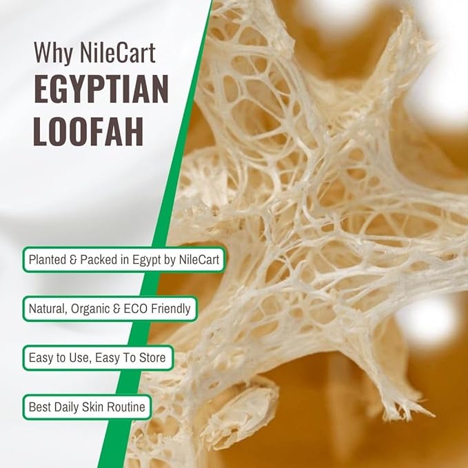 NileCart 22 in. Egyptian Loofah Best Scrubbies for Body - Natural exfoliating Body Scrubber Shower Loofah | Body Scrubber Exfoliator Natural Sponge - Luffa for Men and Women