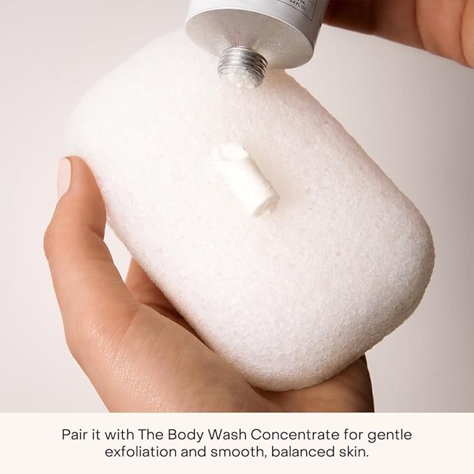 Everist Compostable Konjac Sponge | Reusable Exfoliating Shower Sponge