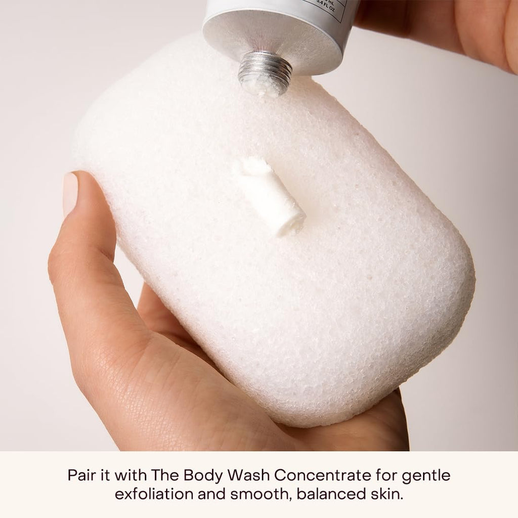 Everist Compostable Konjac Sponge | Reusable Exfoliating Shower Sponge