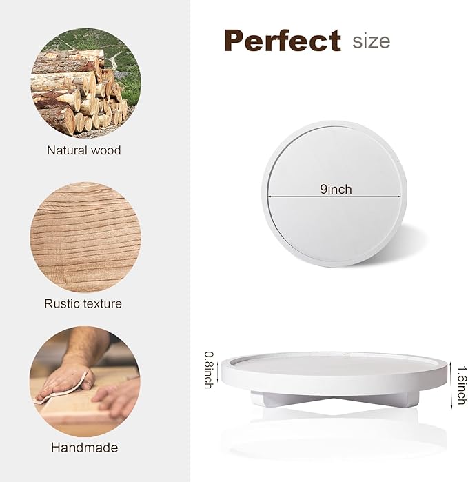 Round Decorative Tray Farmhouse Kitchen Decor Soap Dish, 9" White