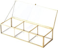 Utopz Vintage Golden Glass Lidded Box Clear Glass & Brass Metal Storage Jewelry and Cosmetic Makeup Organizer with Lid Beauty Display, Rectangle with 3 Compartment