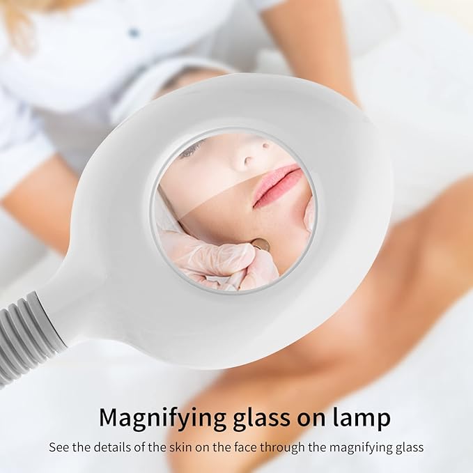 Winado 2 in 1 Facial Steamer with 5X Magnification Light, Deep Cleaning