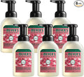 Mrs. MEYER'S CLEAN DAY Foaming Hand Soap, Watermelon Scent,10 Fl oz. (Pack of 6)