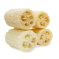 pisdoplop Natural Loofah Exfoliating Body Sponge Scrubber, 4 inch-Long Organic Loofa Luffa Plant-Based for Men & Women Skin Care Bath Shower Cleaning, Natural Sponges for Dishes
