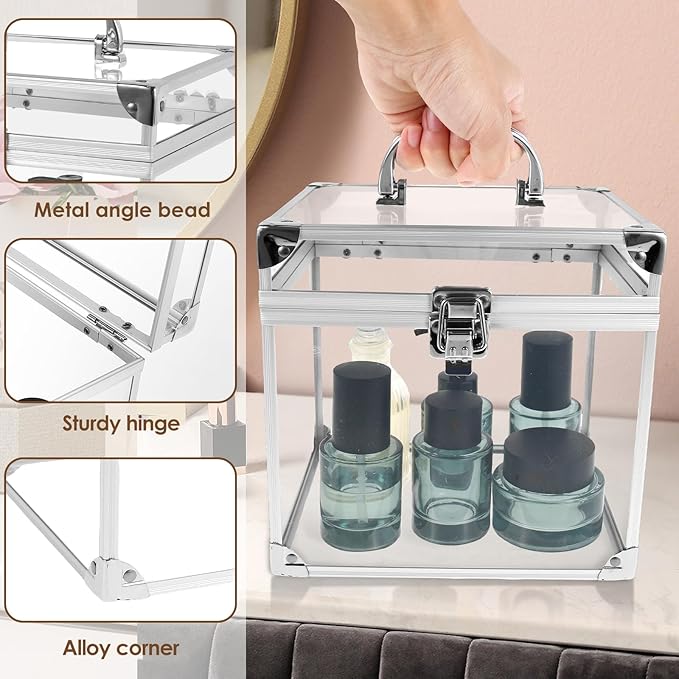 Fizocosisto Makeup Box,Clear Cosmetic Case with Latches and Handle Large Capacity Toiletry Organizer Box Travel Makeup Tools for Vanity Bathroom Counter Dresser(silver)