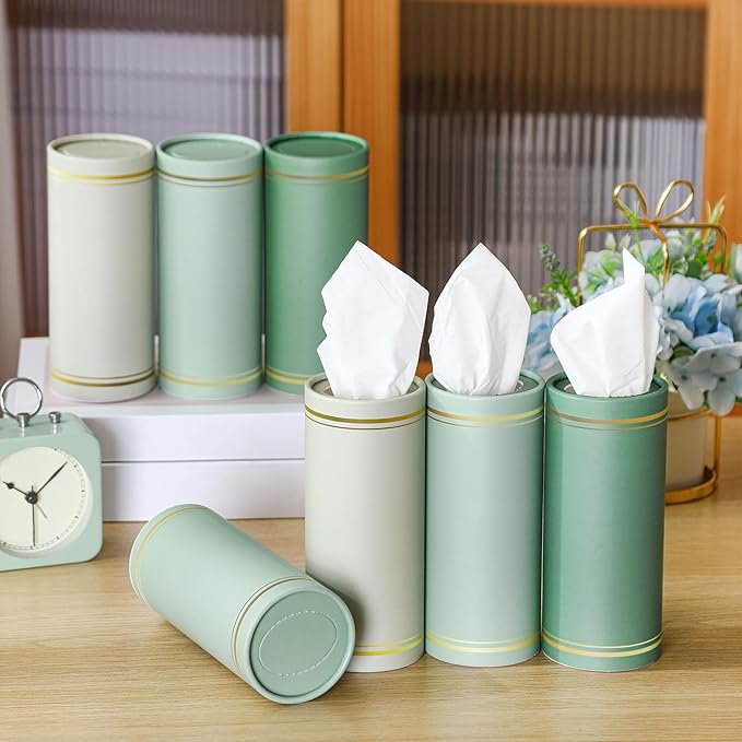 Fourluoo 12 Pack Car Tissue Cylinder Holder Bulk with 3 Ply Facial Tissues, Round Napkin Holders for Cup Holder Cylinder Travel Paper Tubes Bulk Round Napkin Boxes Packs (Fresh Color)