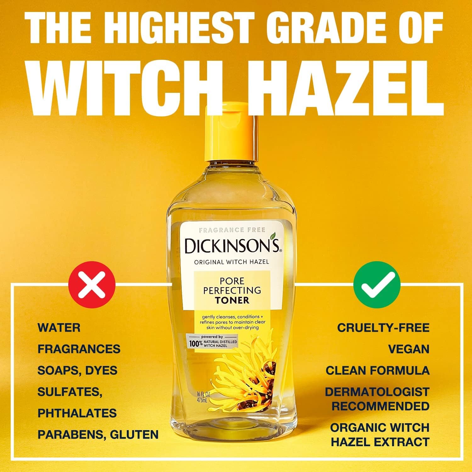 Dickinson's Witch Hazel Pore Perfecting Toner | 16 Fl Oz