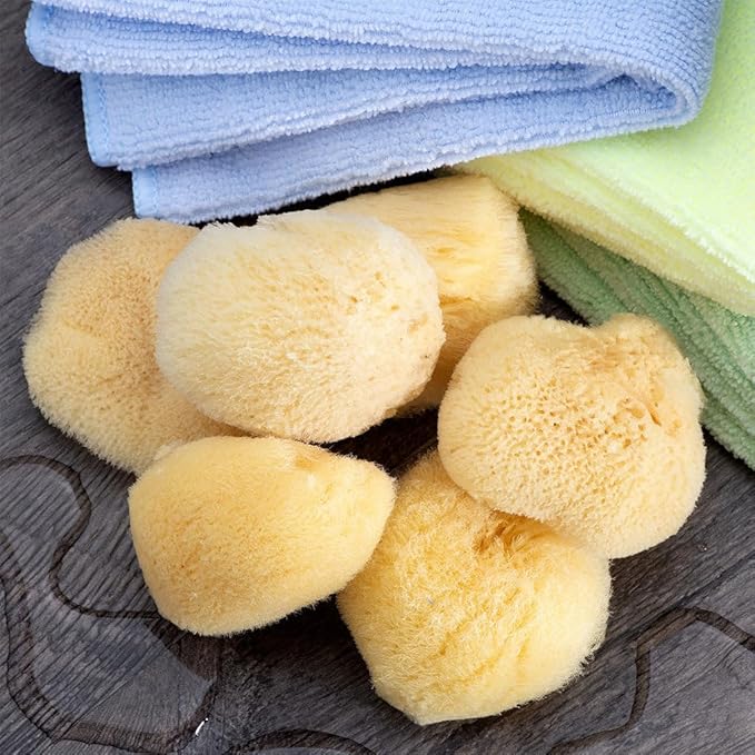 Neptune Natural Sea Silk Sponge 6pc Kit, Hand Cut, Small, Approx. 1-2 inches, Ideal for Cosmetic Use and Facial Cleansing
