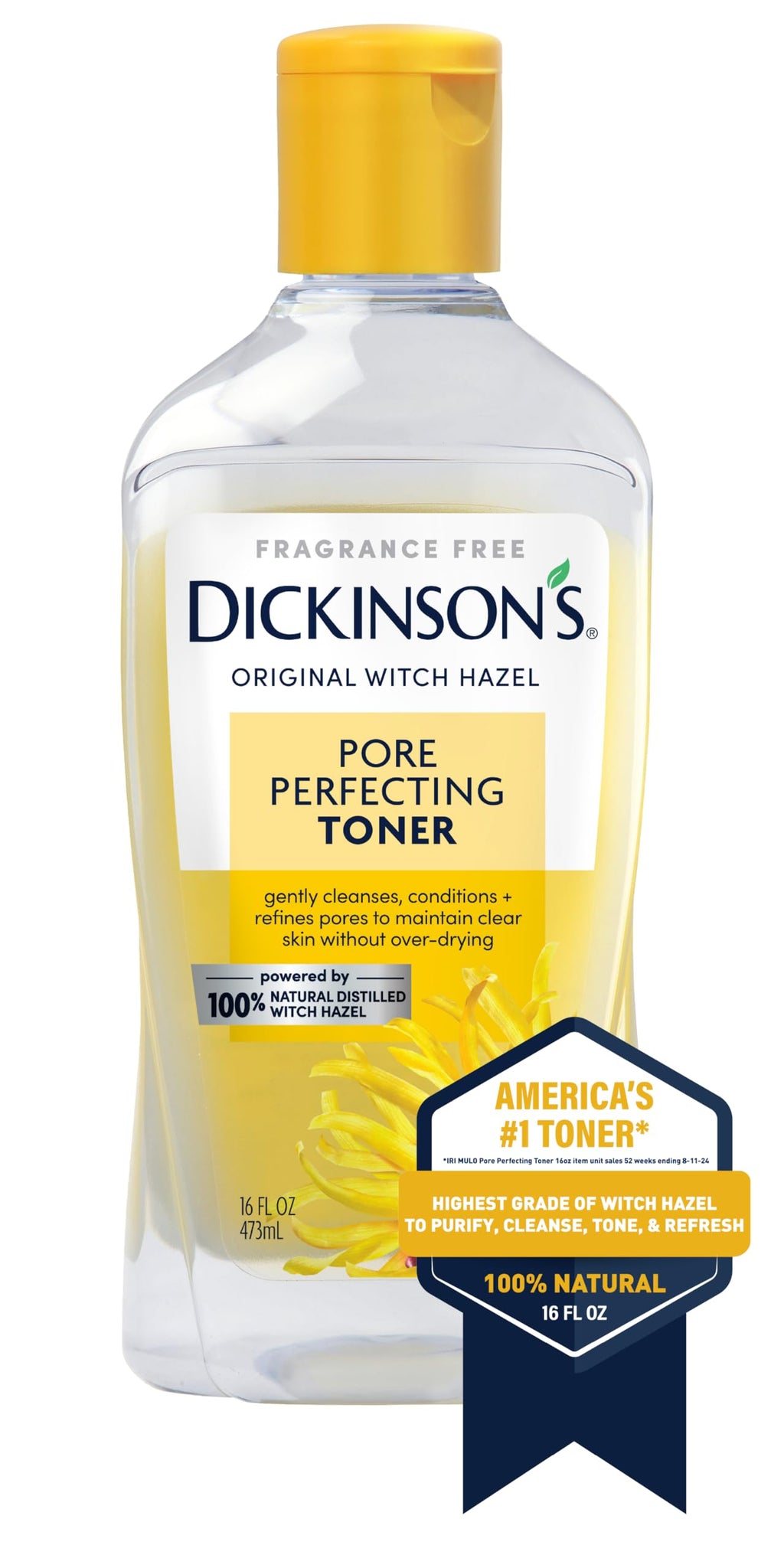 Dickinson's Witch Hazel Pore Perfecting Toner | 16 Fl Oz