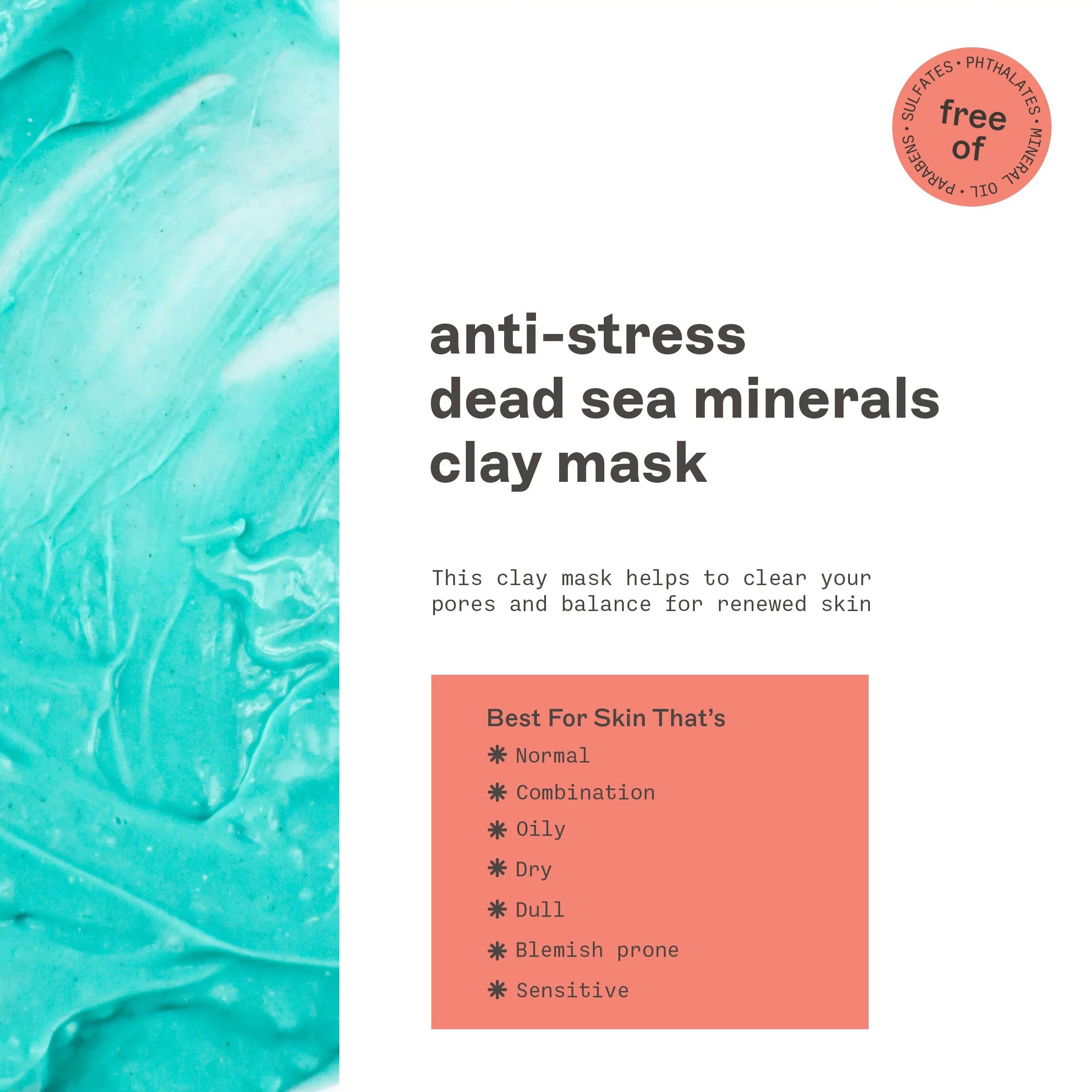 Freeman Anti-Stress Clay Mask, Dead Sea Mineral Face Mask, 6 Fl Oz Tube