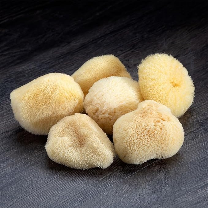 Neptune Natural Sea Silk Sponge 6pc Kit, Hand Cut, Small, Approx. 1-2 inches, Ideal for Cosmetic Use and Facial Cleansing