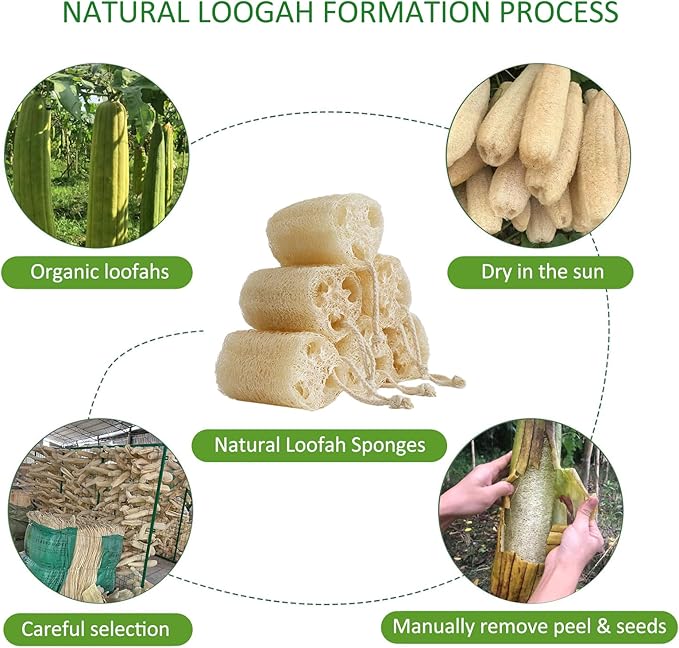 Natural Loofah Sponge, Organic Luffa Exfoliating Body Scrubber, 6 Pack