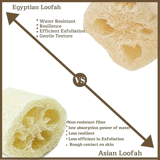 NileCart 22 in. Egyptian Loofah Best Scrubbies for Body - Natural exfoliating Body Scrubber Shower Loofah | Body Scrubber Exfoliator Natural Sponge - Luffa for Men and Women