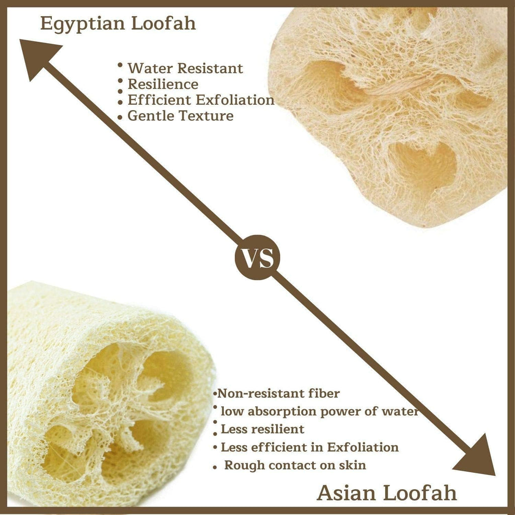 NileCart Egyptian Natural Loofah Sponge, 22 Inchs