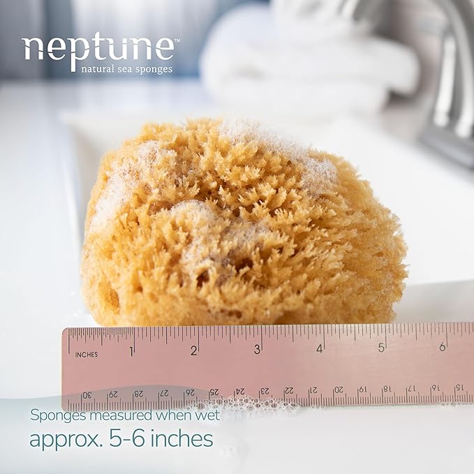 Neptune Caribbean Sea Sponge for Face & Body, Medium Approx. 5-6 Inch, Ultra-Soft Bath Sponge, Eco-Friendly & Biodegradable