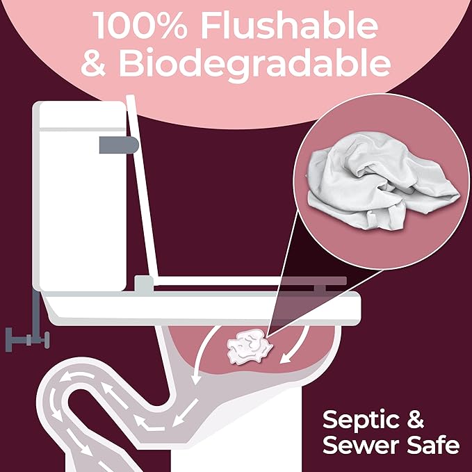 BOOTY WIPES Feminine Flushable Wipes Wome, 320 Count (4 Packs of 80) Wet Wipes for Adults, pH Balanced with Aloe and Vitamin E, Gentle Cleansing Female Toilet Wipes for Sensitive Skin