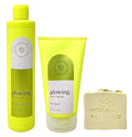 Bath & Body Works Glowing With Fruit Enzyme Exfoliating Body Wash and Body Polish Duo Set with a Wild Jasmine Bar Soap
