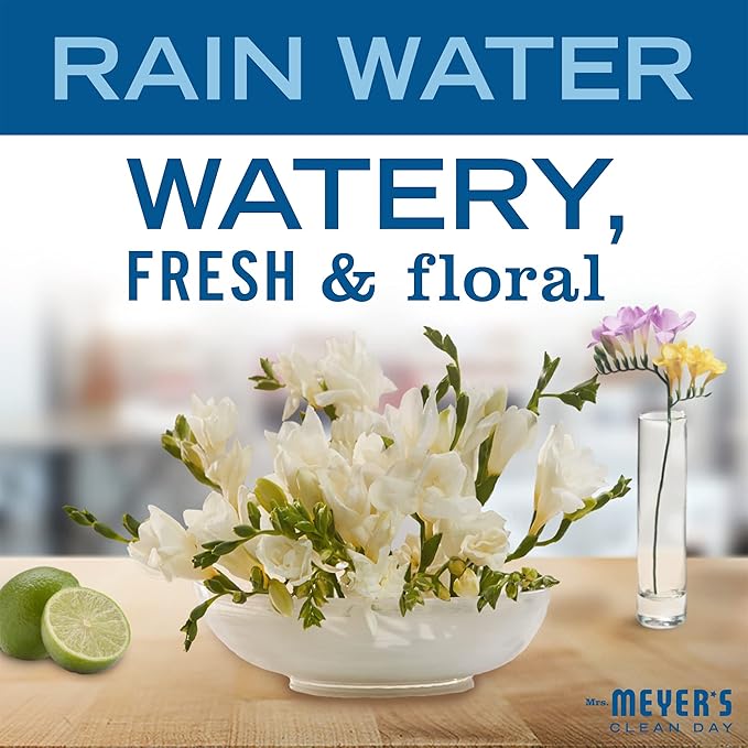 MRS. MEYER'S CLEAN DAY foaming Hand Soap, Rainwater Scent (10 Fl Oz (Pack of 1))