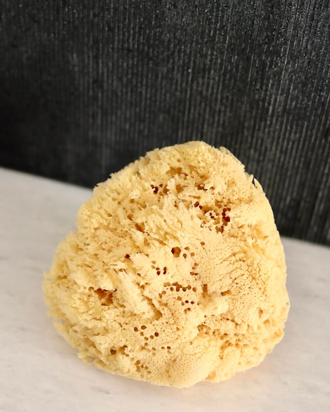 Real Sea Sponge for Men - Extra Large 6"-7", Totally Natural, Kind on Skin for an Invigorating Shower, Supplied in Breathable Mesh Bag. Great for The Gym, Grooming, Bath & Body Gift by Constantia Man