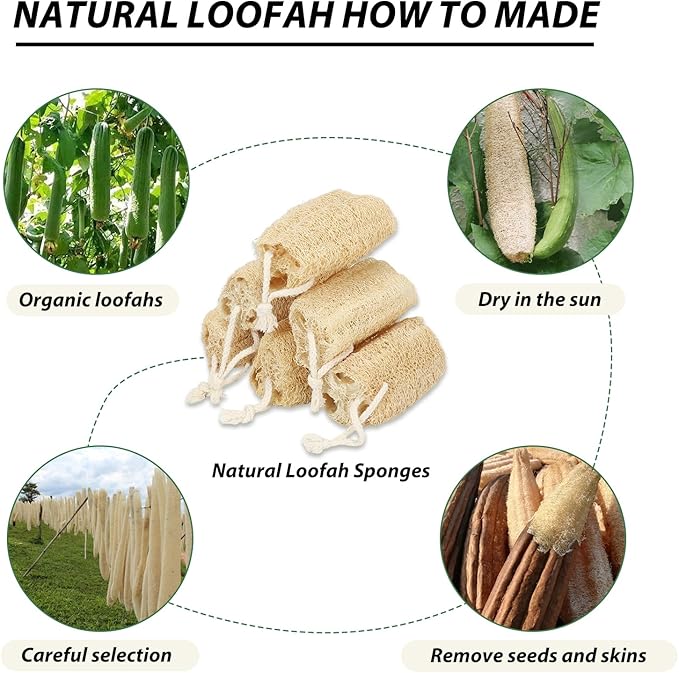 Natural Loofah Slices Cuts for Soap Making-20 Pack Organic Luffa Loofa Sponges for Soap Holder Handmade DIY Loofa Pet Toy Loofahs