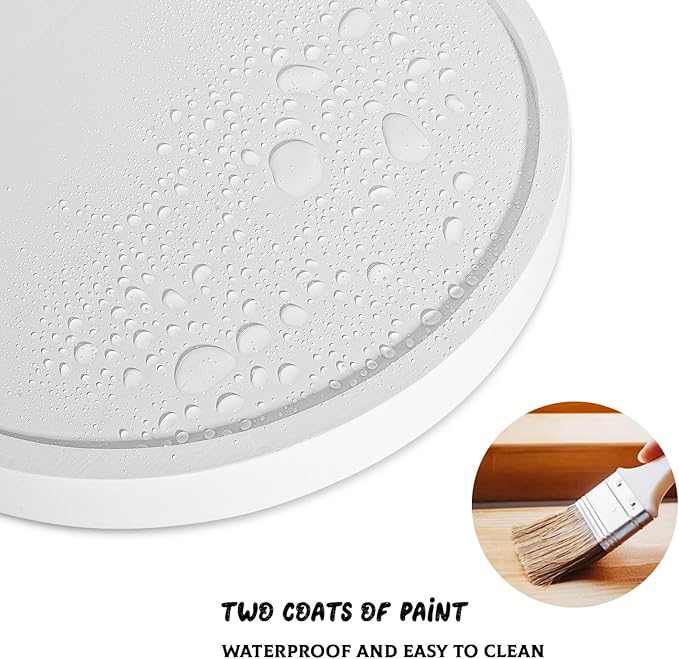 Round Decorative Tray Farmhouse Kitchen Decor Soap Dish, 12" White