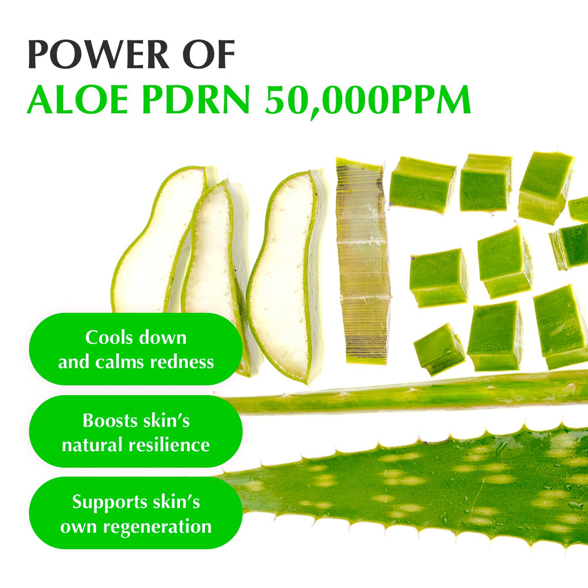EQQUALBERRY Aloe PDRN Calming Smoothie Serum – Soothing Korean Skin Care for Sensitive Skin, Cica & Aloe for Repair, Hydrating & Radiant Glow, Non-Comedogenic (1.01oz / 30ml)