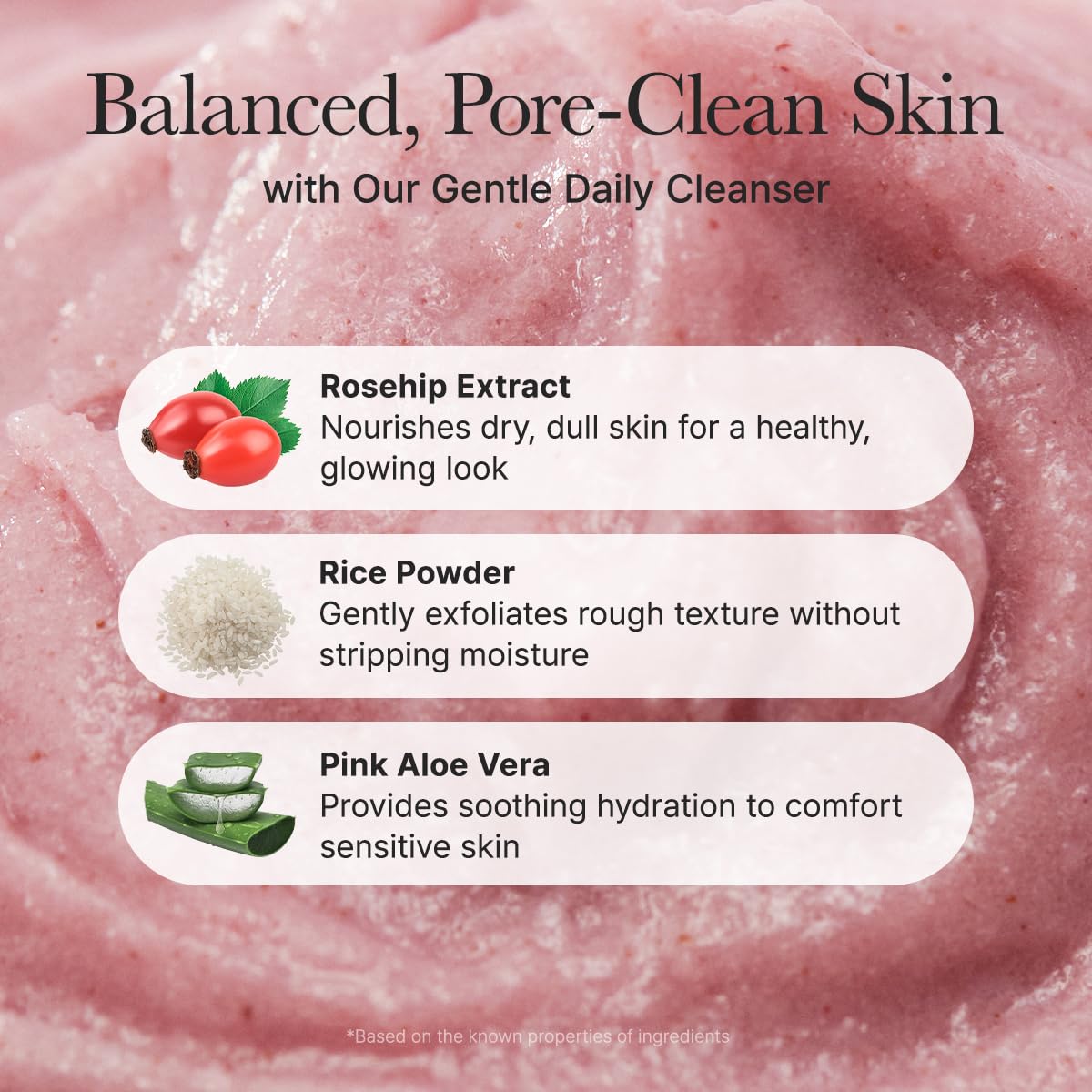 Arencia Rosehip Rice Mochi Face Cleanser & Daily Scrub - Moisturizing, Exfoliating & Deep-Cleansing - All Skin Types with Rice Powder & Rice Water (4.23oz)