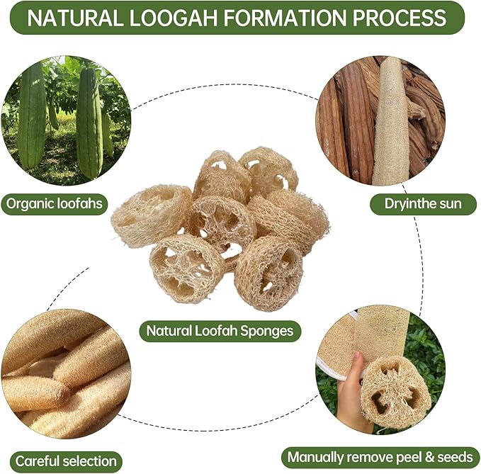 FRTIM Natural Loofah Sponge, Organic Loofah Slices for Soap Making, 20 Pack