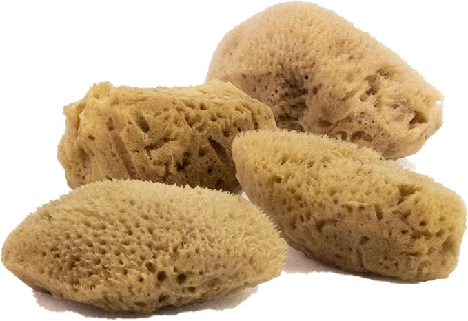 FacialCare Sea Sponges, for A Deep Down Facial Scrub. Exfoliating, Hypoallergenic, Zero Waste. The Premium Quality Mediterranean Sea Sponges. (Natural Brown, Minimalist Packaging)