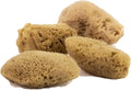 FacialCare Sea Sponges, for A Deep Down Facial Scrub. Exfoliating, Hypoallergenic, Zero Waste. The Premium Quality Mediterranean Sea Sponges. (Natural Brown, Minimalist Packaging)