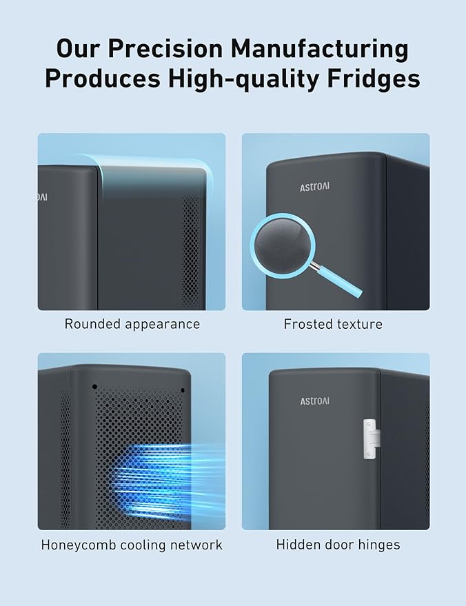 AstroAI 2.0 Gen 6L/8 Cans Mini Fridge, Cooler & Warmer, 110V AC/12V DC